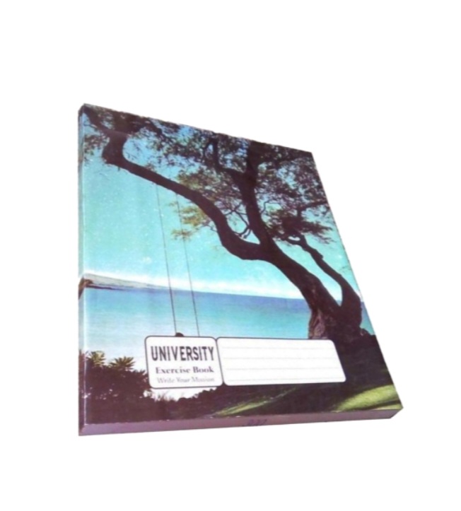 Bashundhara Dista Khata- 204 Page (Pin Binding) - 12 Pcs Brand: Bashundh